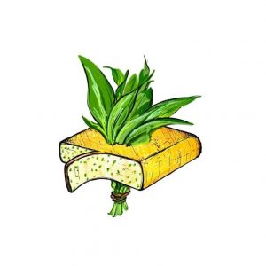 Bärlauch