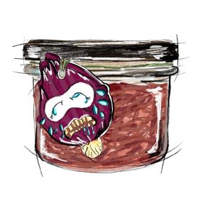Rote Zwiebeln Pickles